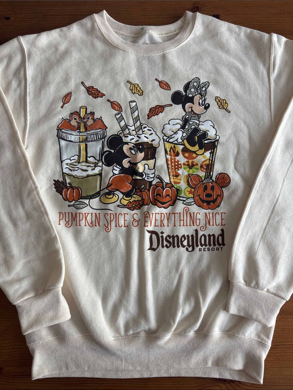 Disney Disneyland Resort Pumpkin Spice & Everything Nice Crewneck Sweatshirt